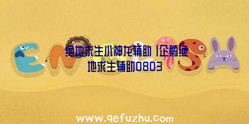「绝地求生小神龙辅助」|企鹅绝地求生辅助0803
